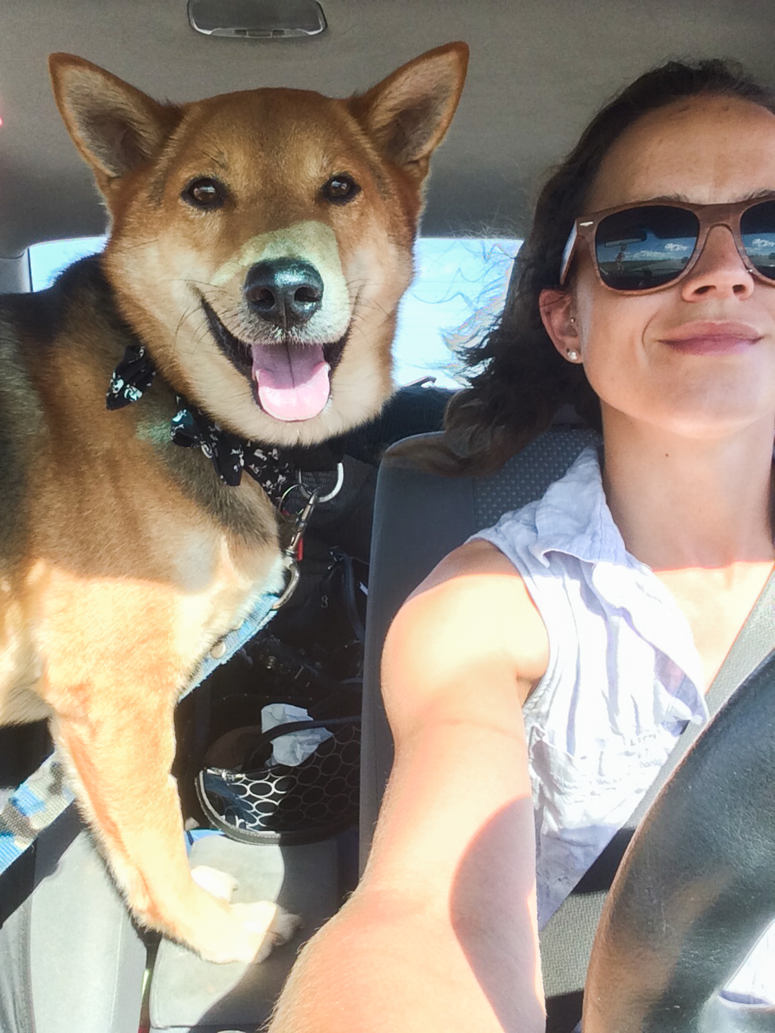 CO11 colorado copilots