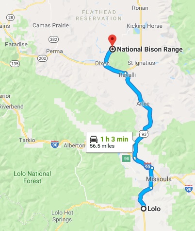 lolo to bison range